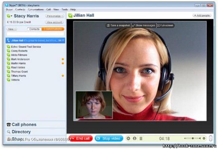 Portable Skype 4.1.0.179 Final ML Rus
