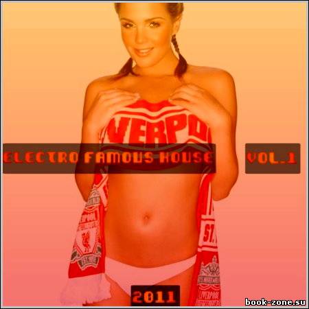 VA - Electro famous house vol.1 (2011)