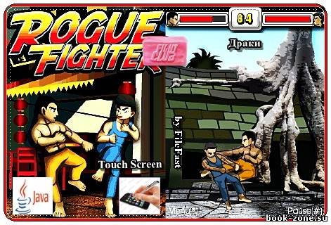 Rogue Fighter / Уличные разборки