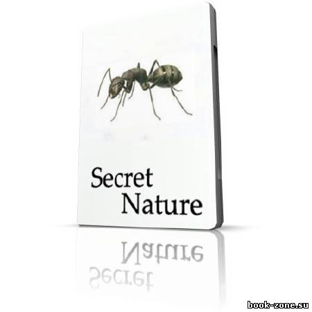 Тайны природы. Планета муравьев / Secret Nature. Planet of the Ants (SATRip / 2004)