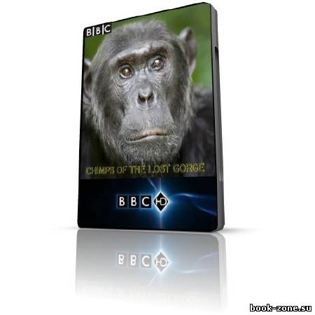 Шимпанзе - есть ли выход? / Chimps of the Lost Gorge (HDTVRip / 2011)