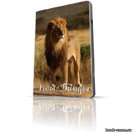 Львы Пинды / The Lions of Phinda (DVDRip / 2001)