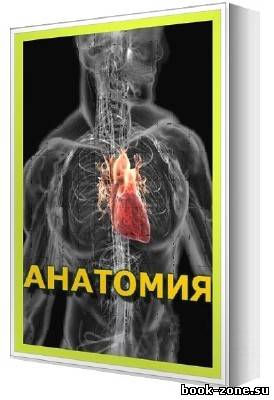 Книжная подборка: Анатомия (38 томов)