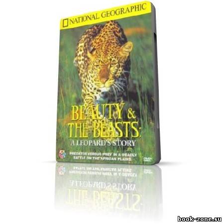 Красавица и чудовище, хищник и жертва / Beauty and the Beasts, A Leopard's Story (DVDRip / 1995)