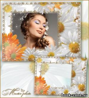 Цветочная рамка для фотошопа - Ромашковый сад