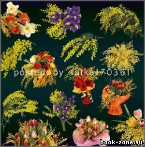 Цветочный клипарт для фотошопа - Мимоза, ветки и букеты с мимозой