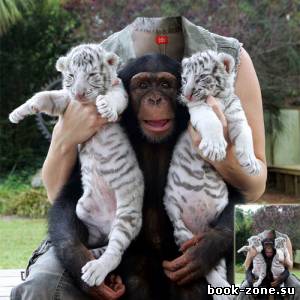 Шаблон для девушек - девушка с маленькими тиграми и обезьянкой