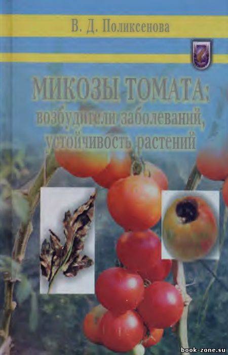 Микозы томата: возбудители заболеваний, устойчивость растений