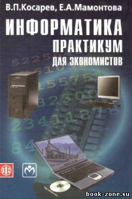 Информатика: практикум для экономистов