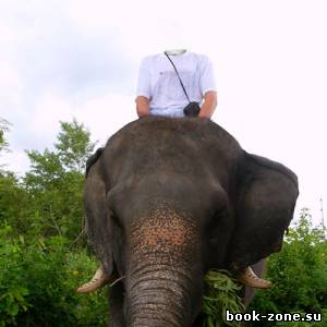 PSD шаблон - Экскурсия на большом слоне