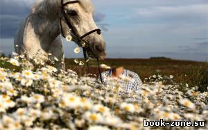 Шаблон для фотомонтажа - В красивом поле с красивым конем