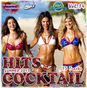 Hit cocktail - Vol. 14 (2013)