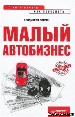 Волгин Владислав - Малый автобизнес: с чего начать, как преуспеть