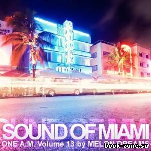 Sound Of Miami: One A.M. Volume 13 (2013)