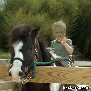 Шаблон psd - Мальчик катается на маленькой пони