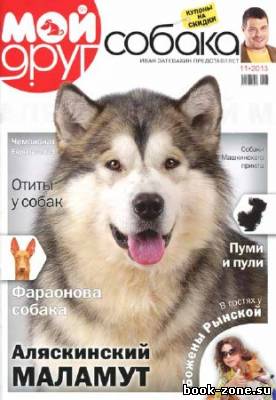 Мой друг собака №11 2013