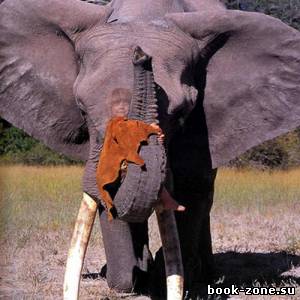 Шаблон для photoshop - Катание на хоботе слона