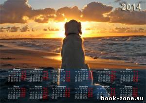 Настенный календарь - Собака на пляже очарована закатом