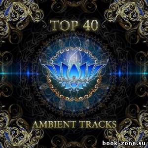 Top 40 Ambient Tracks (2013)