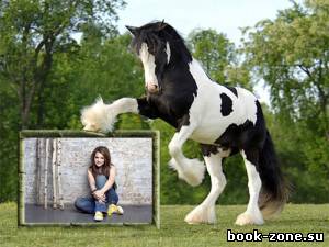 Рамка psd - Шикарная бело-черная лошадка с вашим фото
