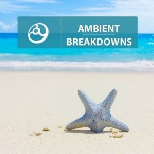 Ambient Breakdowns (2014)