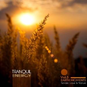 Tranquil Energy Vol.3 Earth Moments (2014)