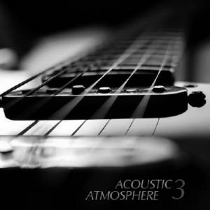 Acoustic Atmosphere 3 (2014)
