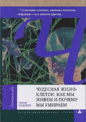 Чудесная жизнь клеток. Как мы живем и почему мы умираем