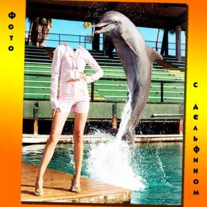 Фото с дельфином - Шаблон женский