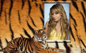 Рамка для фотошоп - Тигровый фон с тигром