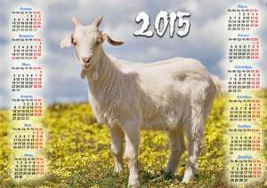 Календарь 2015 - Белая коза