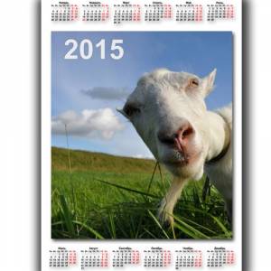 Календарь на 2015 год - Смешная коза