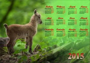 Календарь - Крошечный козленок