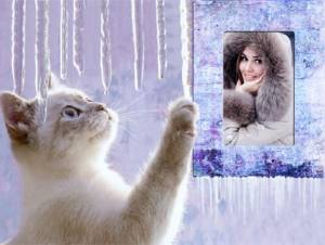 Рамка для фотошоп - Маленький котенок зимой