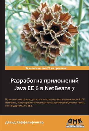 Разработка приложений Java EE 6 в NetBeans 7