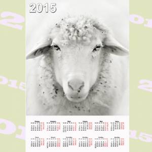 Календарь настенный - Белая овца