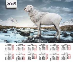 На 2015 год календарь - Модная овечка