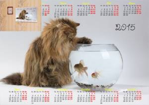 На 2015 год календарь - Кошечка над рыбками