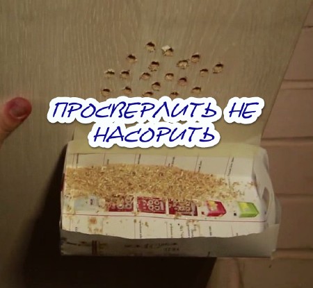 Просверлить не насорить (2015)