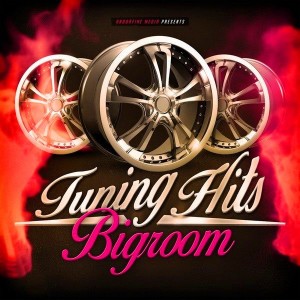 Tuning Hits Lounge (2015)