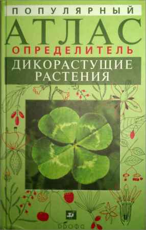 Популярный атлас-определитель. Дикорастущие растения