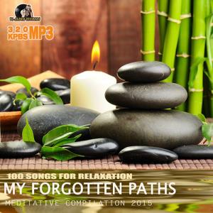 My Forgotten Paths (2015)