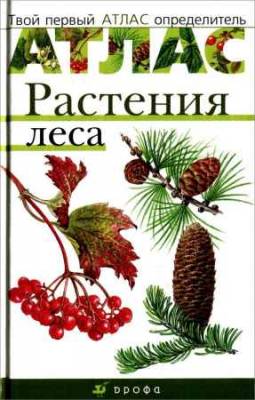 Растения леса