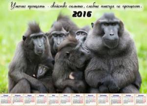 На 2016 год календарь - Умение прощать