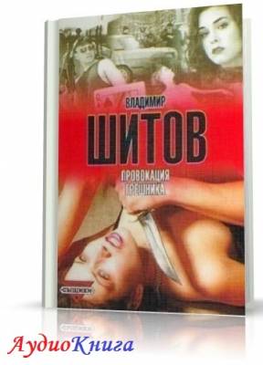 Шитов Владимир - Провокация грешника (АудиоКнига)